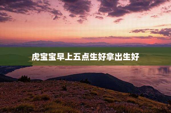 虎宝宝早上五点生好拿出生好
