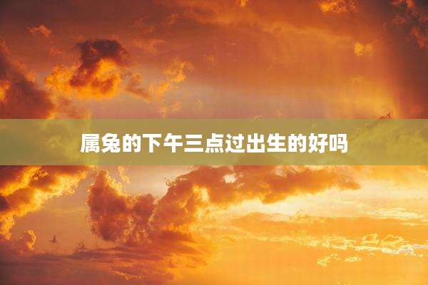属兔的下午三点过出生的好吗