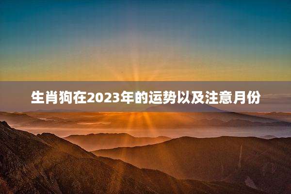 生肖狗在2023年的运势以及注意月份
