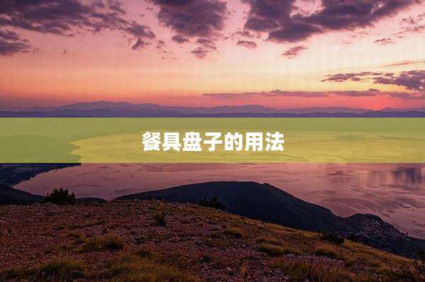 餐具盘子的用法