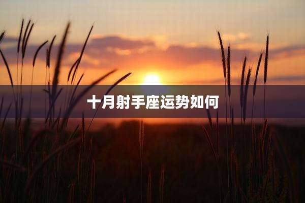 十月射手座运势如何