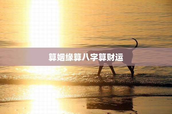 算姻缘算八字算财运