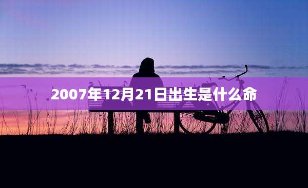 2007年12月21日出生是什么命