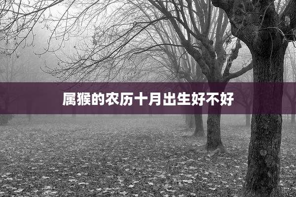 属猴的农历十月出生好不好