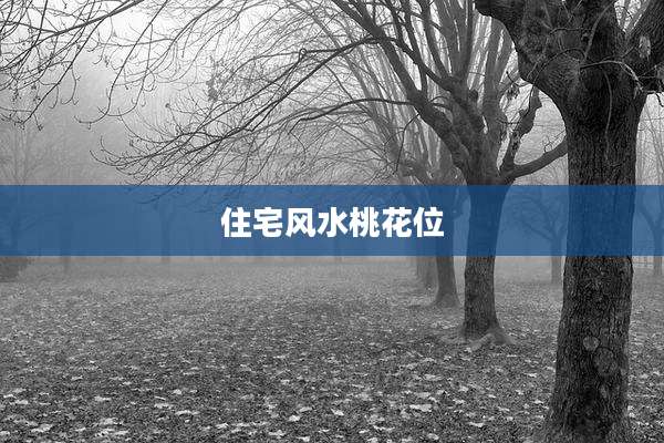 住宅风水桃花位