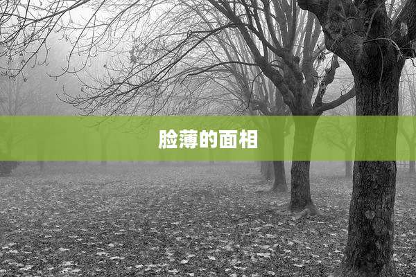 脸薄的面相