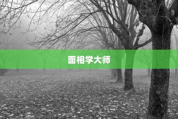 面相学大师