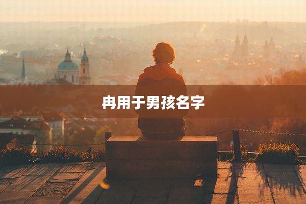冉用于男孩名字