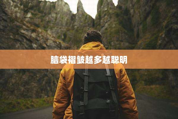 脑袋褶皱越多越聪明