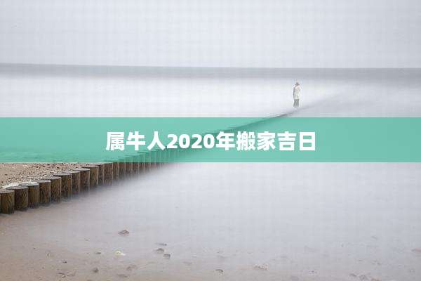 属牛人2020年搬家吉日