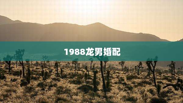 1988龙男婚配
