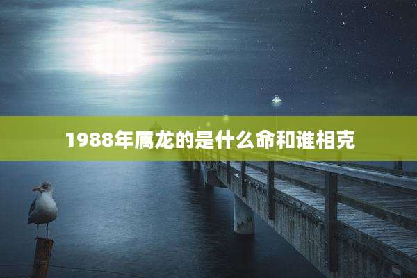 1988年属龙的是什么命和谁相克