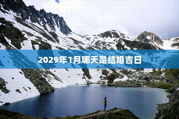 2029年1月哪天是结婚吉日