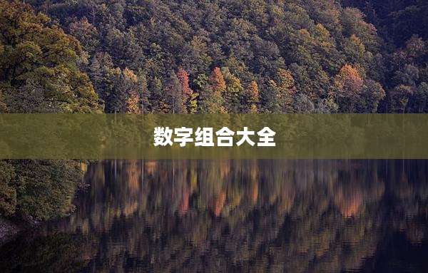 数字组合大全