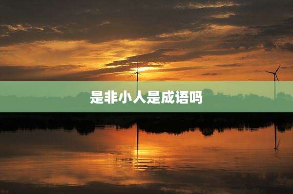 是非小人是成语吗