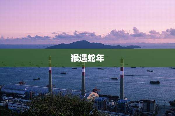 猴遇蛇年