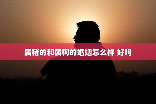 属猪的和属狗的婚姻怎么样 好吗