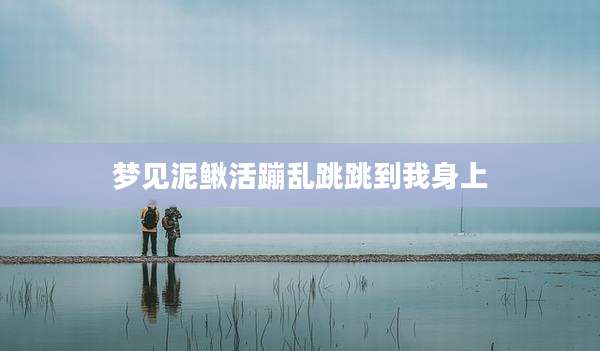 梦见泥鳅活蹦乱跳跳到我身上