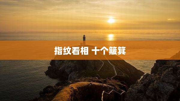 指纹看相 十个簸箕