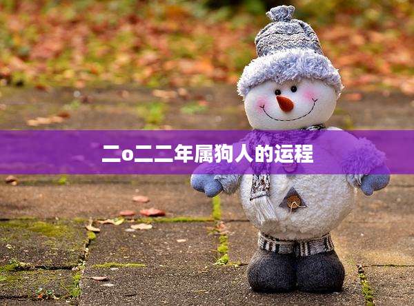 二o二二年属狗人的运程