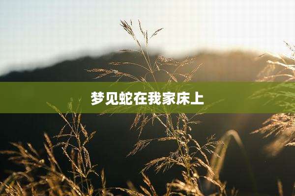 梦见蛇在我家床上