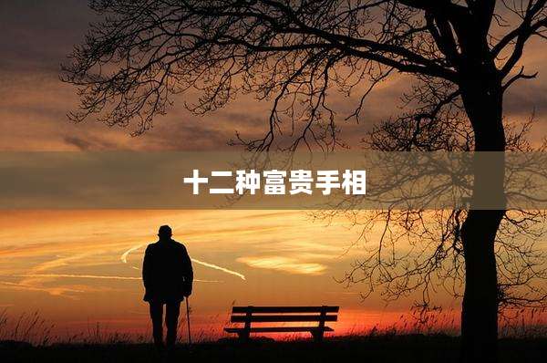 十二种富贵手相