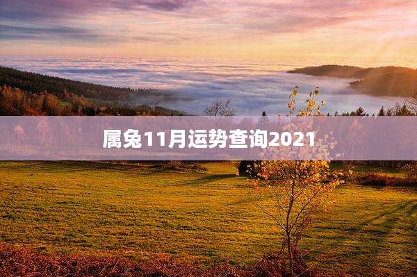 属兔11月运势查询2021