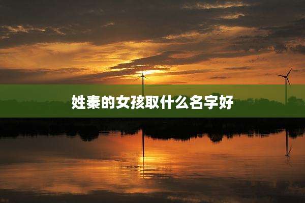 姓秦的女孩取什么名字好