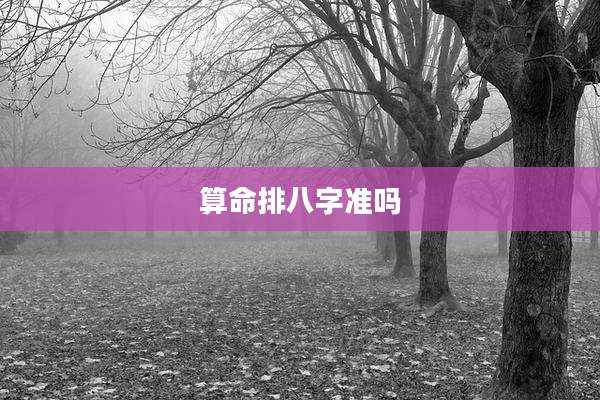 算命排八字准吗