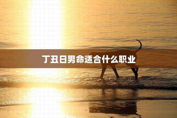 丁丑日男命适合什么职业