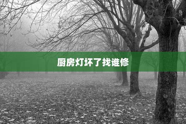 厨房灯坏了找谁修