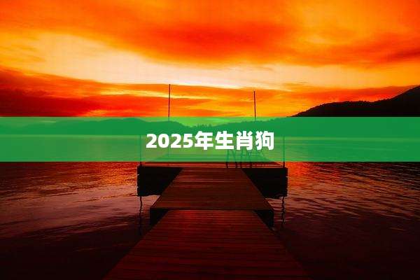2025年生肖狗