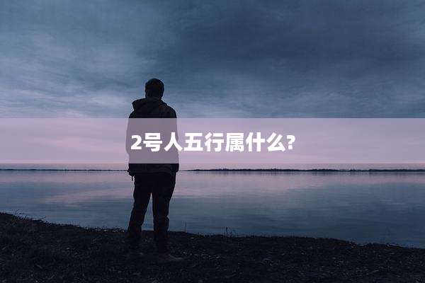 2号人五行属什么?