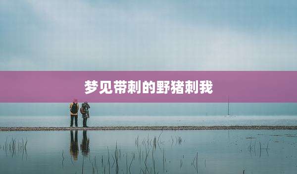 梦见带刺的野猪刺我