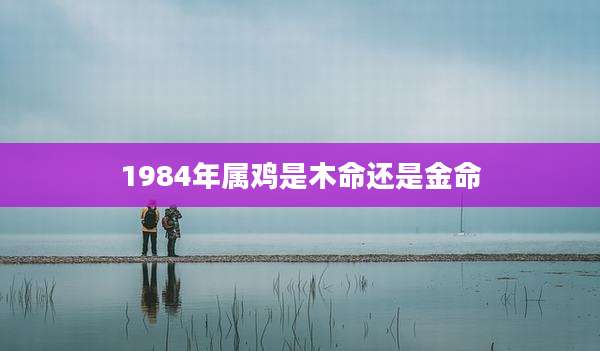 1984年属鸡是木命还是金命