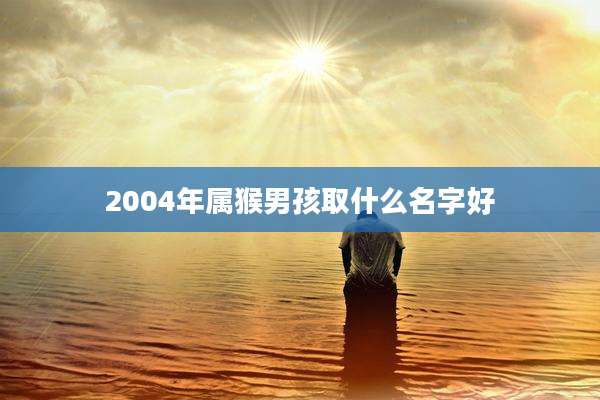 2004年属猴男孩取什么名字好