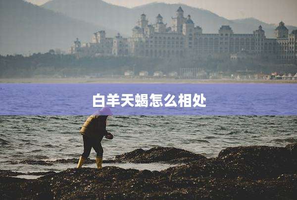 白羊天蝎怎么相处