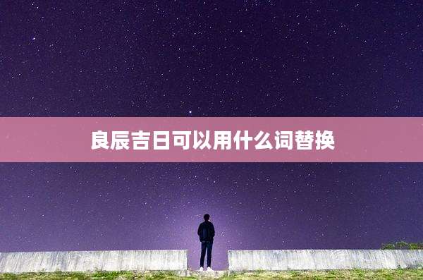 良辰吉日可以用什么词替换