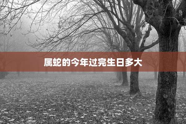 属蛇的今年过完生日多大
