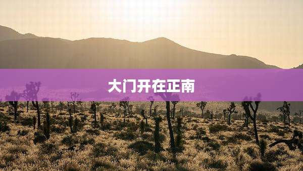 大门开在正南