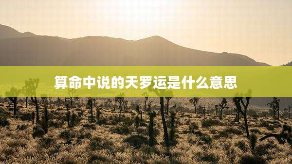 算命中说的天罗运是什么意思