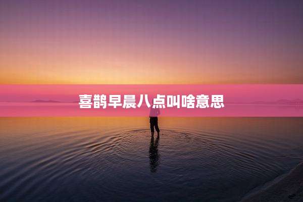 喜鹊早晨八点叫啥意思