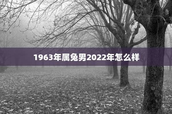 1963年属兔男2022年怎么样