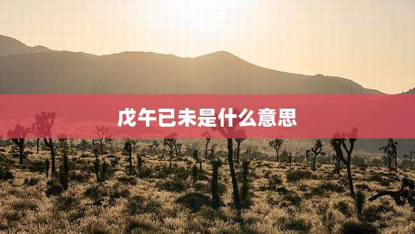 戊午已未是什么意思