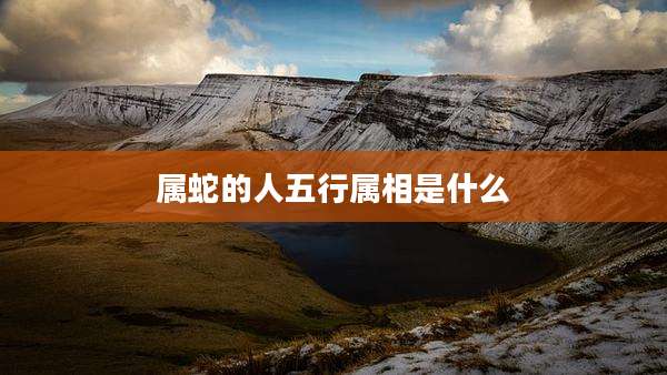 属蛇的人五行属相是什么