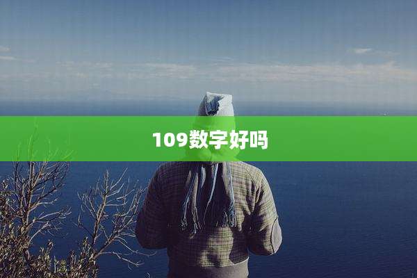 109数字好吗