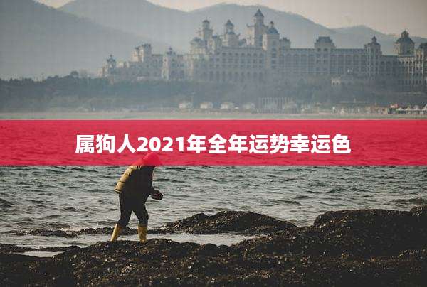 属狗人2021年全年运势幸运色