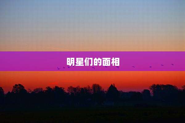 明星们的面相