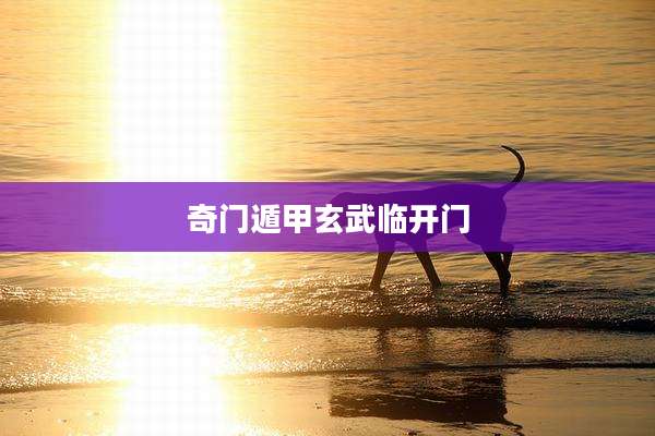 奇门遁甲玄武临开门