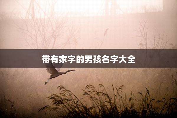 带有家字的男孩名字大全